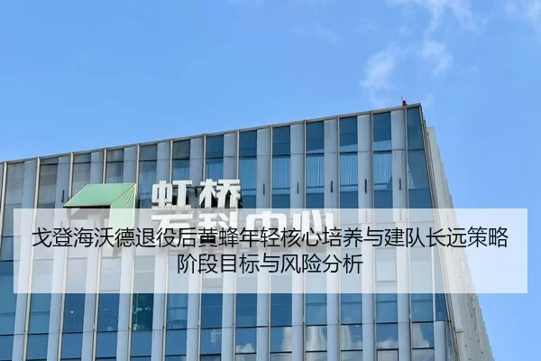戈登海沃德退役后黄蜂年轻核心培养与建队长远策略阶段目标与风险分析