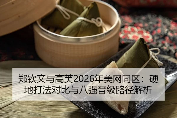 zheng-qin-wen-yu-gao-fu-nian-mei-wang-tong-qu-ying-di-da-fa-dui-bi-yu-ba-qiang-jin-ji-lu-jing-jie-xi-2-305.jpg
